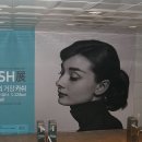 ㈜뉴벤처엔터테인먼트 이미지