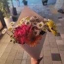 왕발마차 이미지