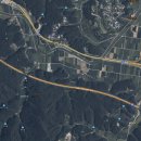 하양혈리 이미지