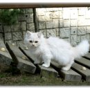 당림미술관 이미지