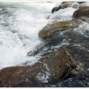 로베펜션 이미지