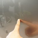 디파크셀프세차장 이미지