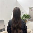 판교 뮤즈잇미 붙임 머리 솔직 후기