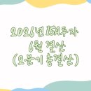 다우기획 | ISA 깻잎포트폴리오 2분기 결산 ｜월배당 후기