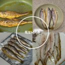 목포 참조기 배송추천 목포낙지촌 참조기 배송 후기 알려드려요
