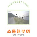 장정1리