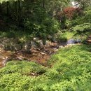 병목안캠핑장 이미지