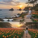 연인바위펜션 | 태안 및 안면도 여행 가이드: 여름휴가 완전정복하는 해변부터 펜션, 드라이브 코스까지!