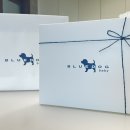 블루독베이비신세계김해점