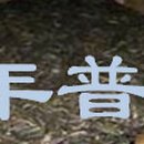중정헌 이미지