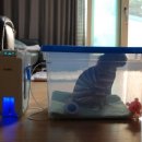 펫케어 동물병원 이미지