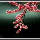 남구-015 이미지