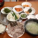 중앙돼지