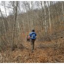 샘골목장 이미지