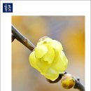 노안초등학교 이미지