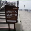 도동이네 이미지