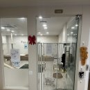 놀면묘하냥 | 청결함과 개냥이 매력에 반한 은평구 데이트코스 추천, 놀면묘하냥 녹번역 고양이카페 후기