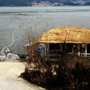 바닷가에서 이미지