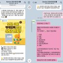 펫블리 | 강아지 보험 DB펫보험 펫블리타운 애견보험 카카오 상담 후기