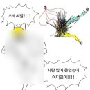 난조아 네이버블로그