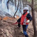 산청 산불 진화율 96%...인명피해 70명으로 늘어﻿ 이미지