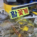 가락시장 전어 맛집 영재수산 회포장 2인 6만원 후기