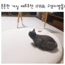 (주)더블피아 이미지