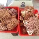 정성농산 이미지