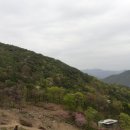 평디기. 된비알. 세이봉(897m). 청년봉. 청룡봉.깃대봉.수장산(557m).백적산/충북단양영춘 이미지