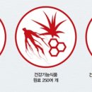 홍삼나라 네이버블로그
