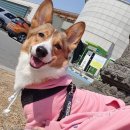 형아푸드 이미지