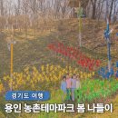 공작어린이공원 | 경기도 용인 가볼만한곳 아이랑 봄 나들이 명소 농촌테마파크 체험까지