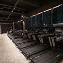 라이브휘트니스 우산점 네이버블로그