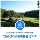 따사로운평생교육원 | 숨겨진 역사의 뒷이야기를 이제 말하려 한다… 경기도 연천 신라경순왕릉을 찾아서