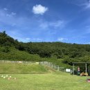 멍빌리지펜션 이미지