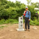 산울림 이미지