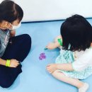 삼성유아태권도 이미지