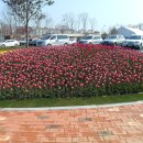 국제민박펜션 이미지