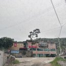 용인 미르힐 캠핑장 달빛 2구역 1번사이트 후기