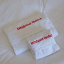 인스턴트 호텔 | 양양 애견동반숙소 추천! 바다 앞 감성숙소 인스턴트호텔 리얼 내돈내산 솔직후기