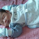 엄조산원 이미지