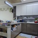 토성봄여름가을겨울 이미지