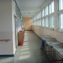 신사초등학교 이미지