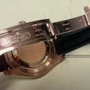 에버로즈 이미지