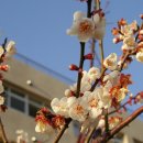 오륙도중학교 이미지