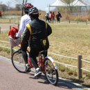 어등대교(거점터미널) 이미지