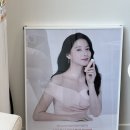 인셀덤퀸(QUEEN) 이미지