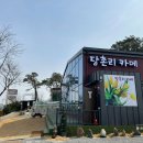 당촌리카메 이미지