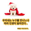 황금대지부동산중개 이미지