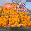 천해향